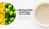 One Cat | Two Bags x 10.1 lb | $53.99 for 2 months supply of litter.
