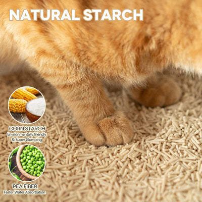 One Cat | Two Bags x 10.1 lb | $53.99 for 2 months supply of litter.