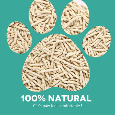 One Cat | Two Bags x 10.1 lb | $53.99 for 2 months supply of litter.
